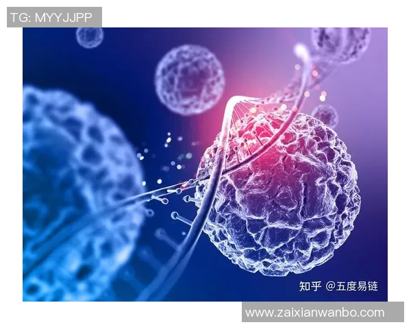 2026年3月份新闻北京足球队技术分析与战术探讨聚焦足球发展新趋势 2026年3月份新闻北京足球队技术分析与战术探讨聚焦足球发展新趋势